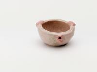 Miniature pig bowl