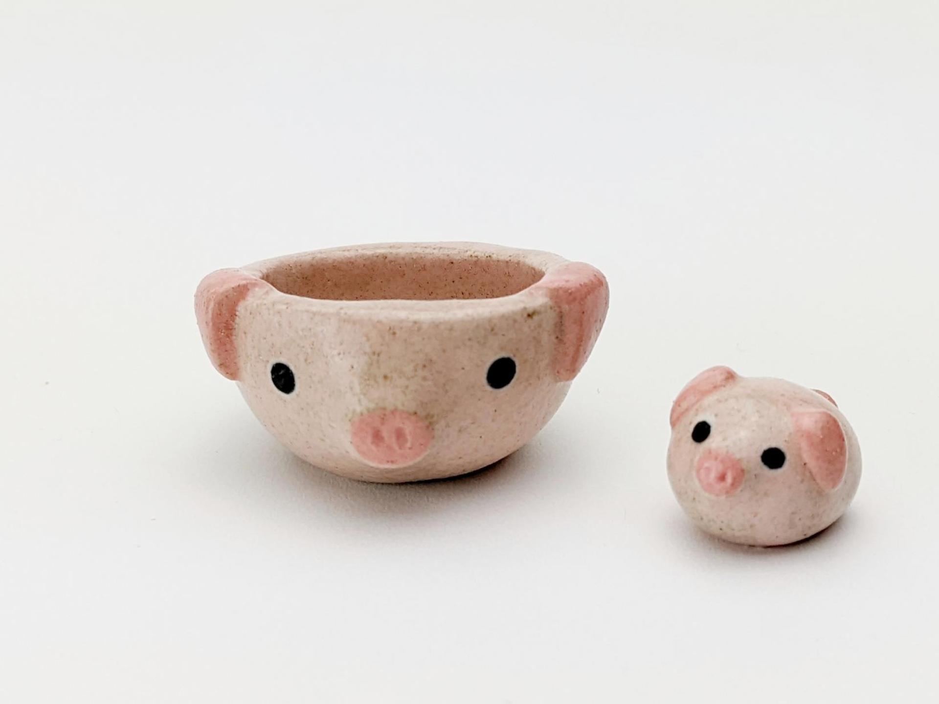 Miniature pig bowl