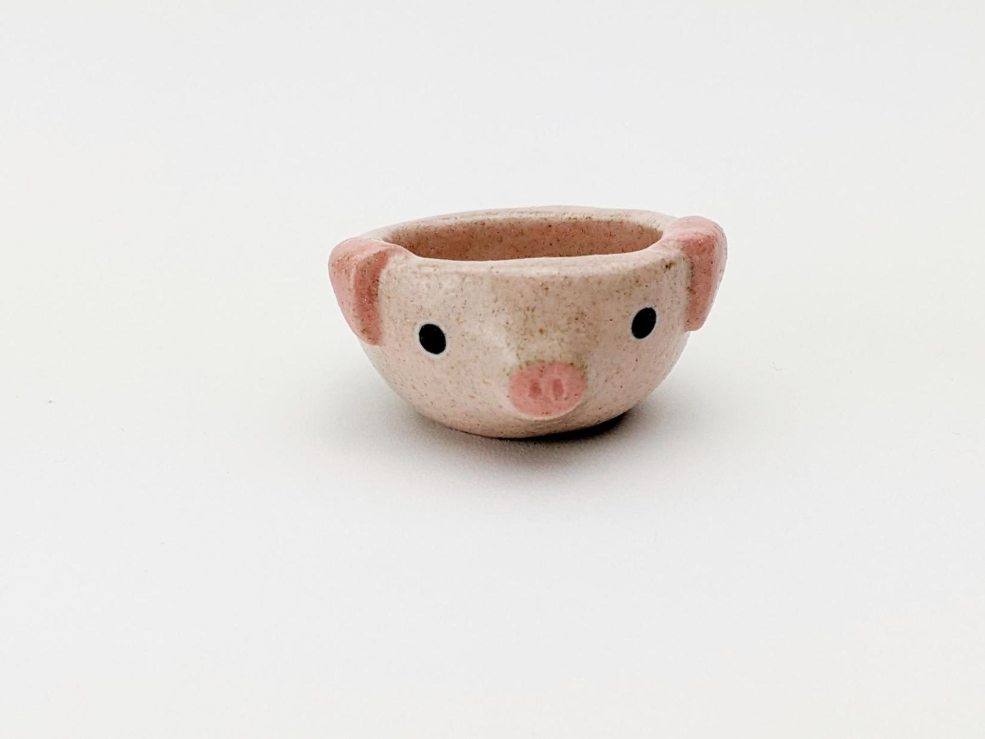 Miniature pig bowl