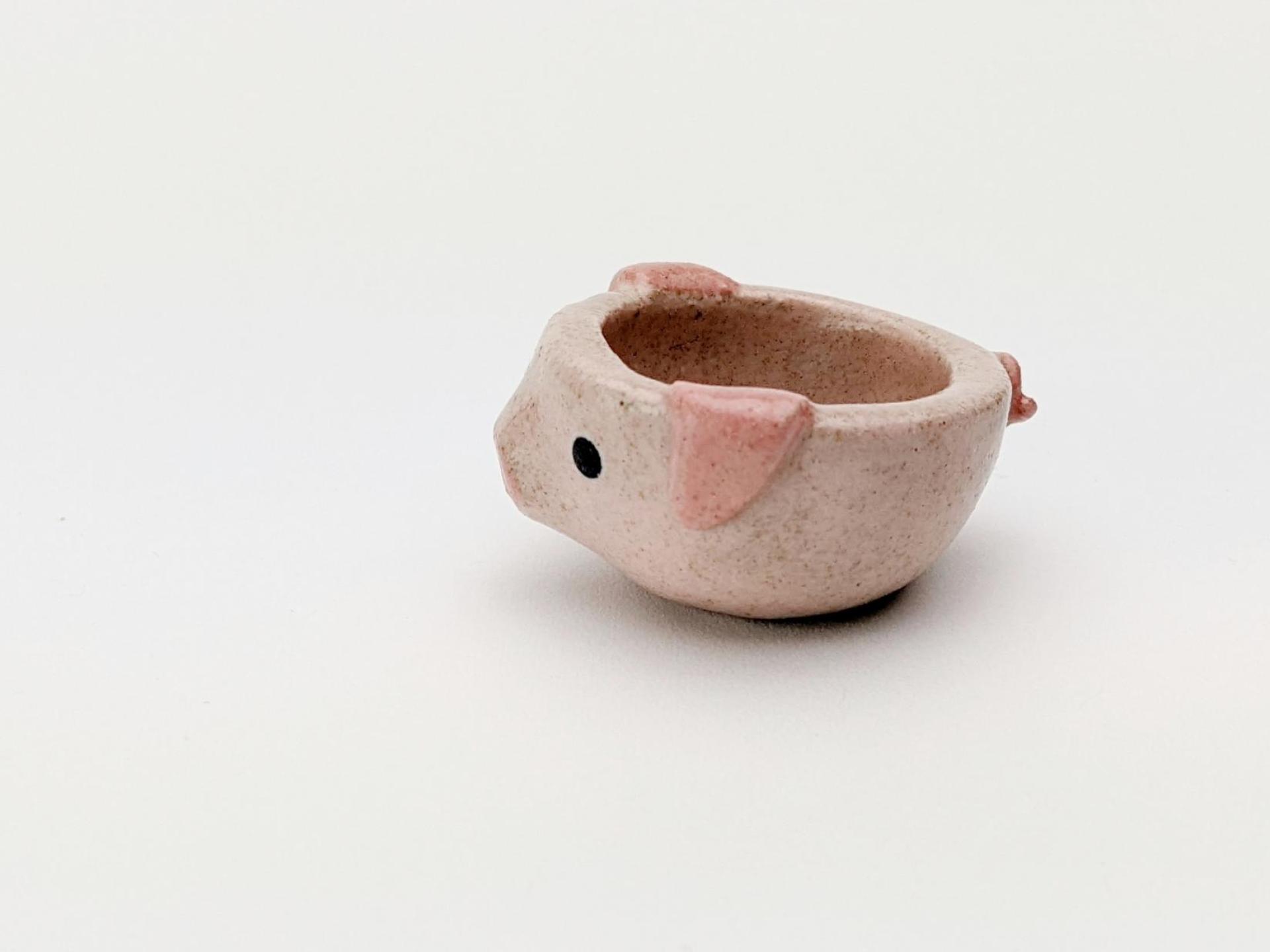 Miniature pig bowl